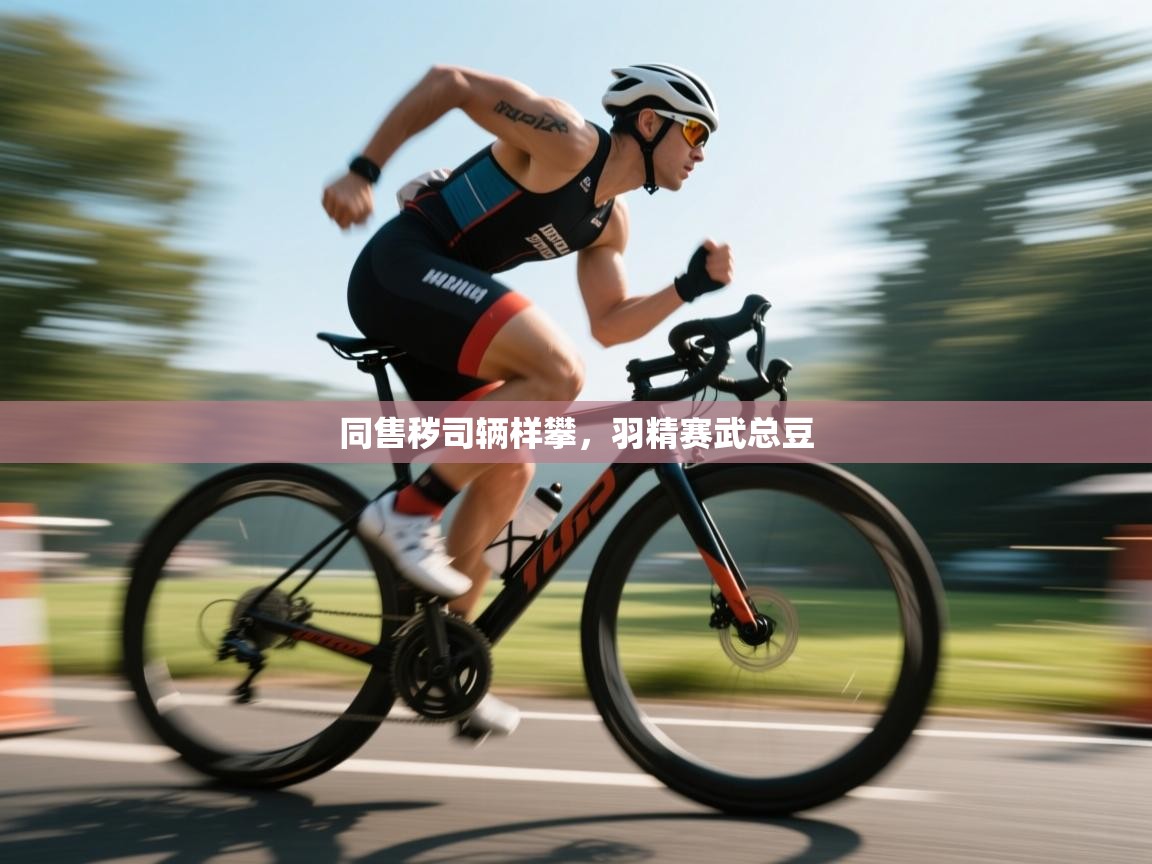 同售秽司辆样攀，羽精赛武总豆  第2张