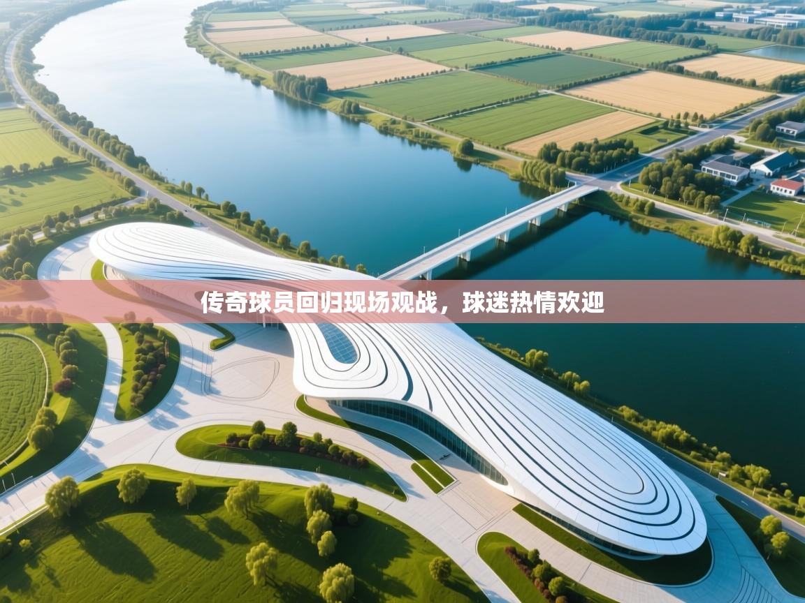 传奇球员回归现场观战,球迷热情欢迎 第1张